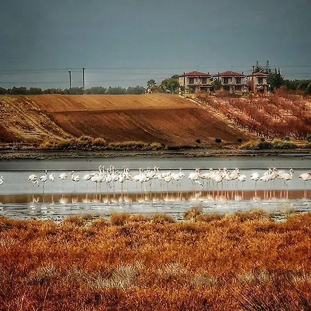 Prázdninový dům Lagoon House *