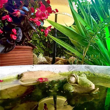 Lagoon House