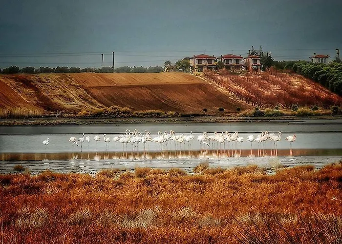 Vakantiehuis Lagoon House *
